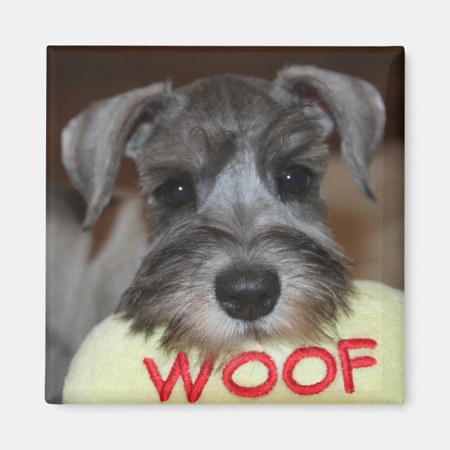 Magnet de marionnettes Schnauzer (Devant)