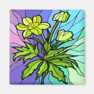 Magnet de marmites en verre