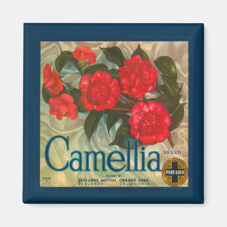 Magnet de marque vintage Camellia