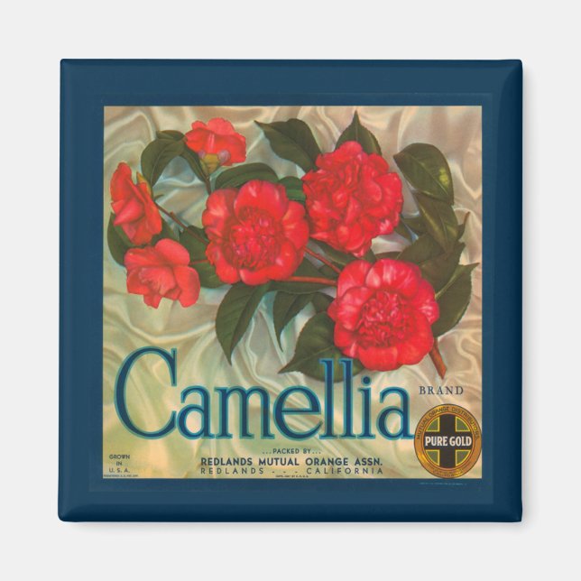 Magnet de marque vintage Camellia (Devant)