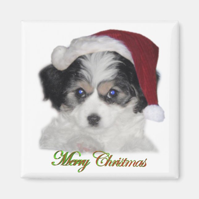 Magnet de Noël de Jersey Père Noël (Devant)
