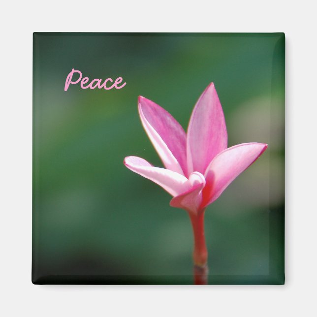 Magnet de paix (Devant)