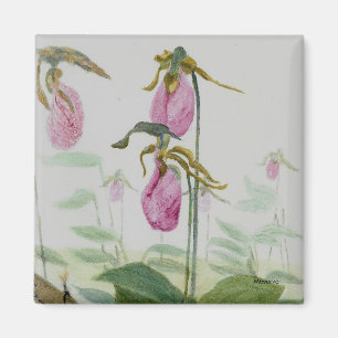 Magnet de palpettes Lady
