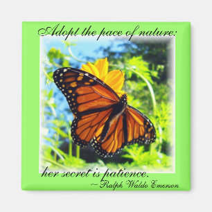 Magnet de papillons Monarque