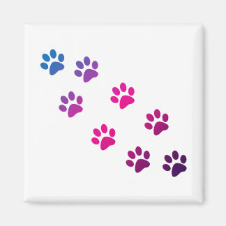 Magnet de pattes de chat