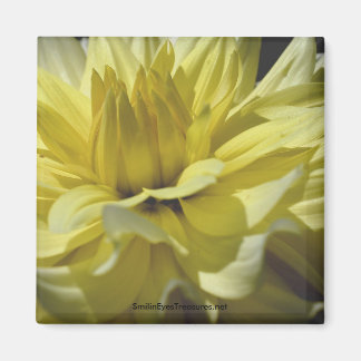 Magnet de photographie de fleur de couleur jaune D