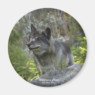 Magnet de photographie de la faune du loup gris