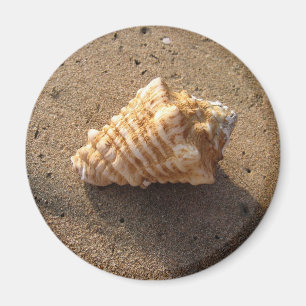 Magnet de plage de sable de coquillage