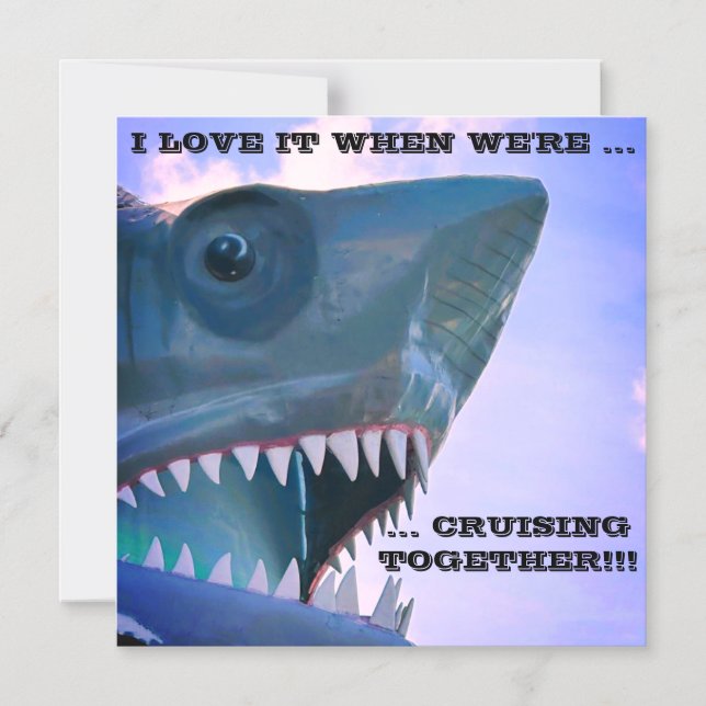 MAGNET DE PORTE DE CROISIÈRE À REQUINS (Recto)