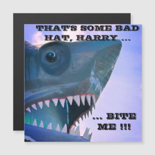 MAGNET DE PORTE DE CROISIÈRE À REQUINS