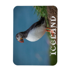 MAGNET DE PUFFIN ISLANDE