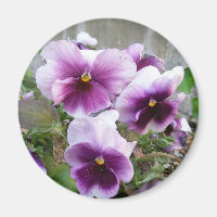 Magnet de Purple