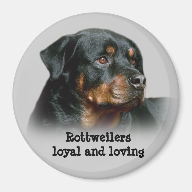 Magnet de Rottweiler (Devant)