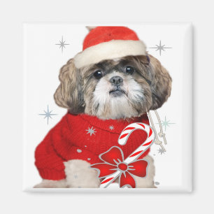 Magnet de Shih Tzu de Noël