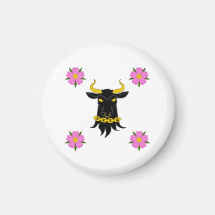 Magnet de surveillance SCA