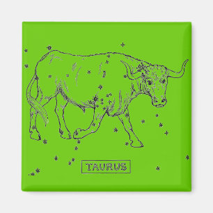 Magnet de Taurus