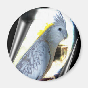 Magnet de tiel de WF