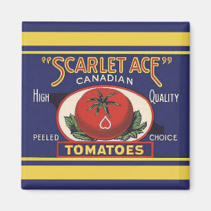 Magnet de tomates de l'as de la pastille