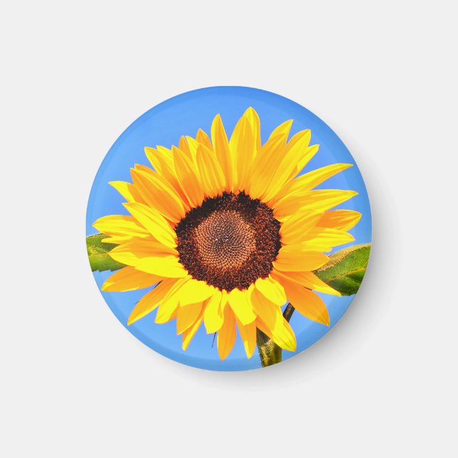 Magnet de tournesol jaune (Devant)