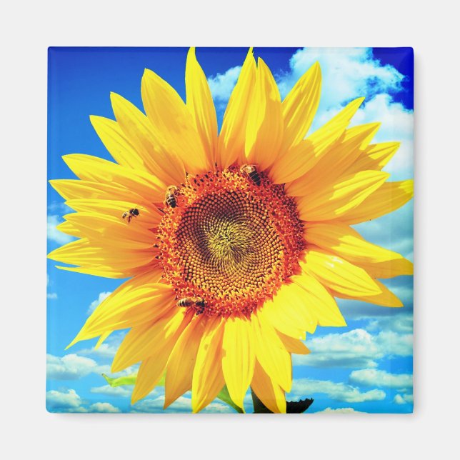 Magnet de tournesol jaune (Devant)