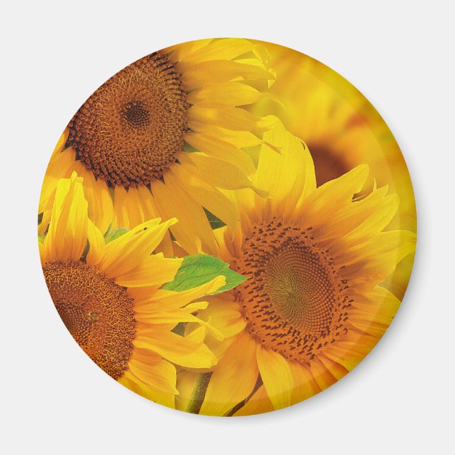 Magnet de tournesols (Devant)