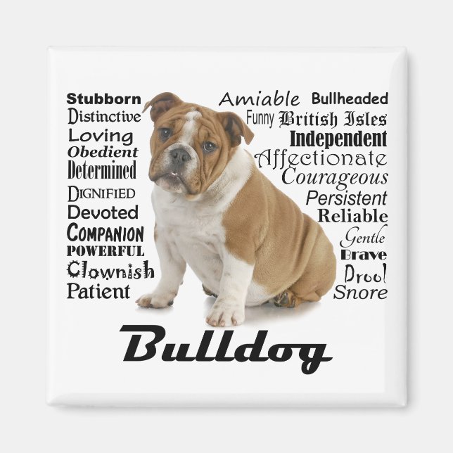 Magnet de traits de Bulldog (Devant)