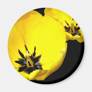 Magnet de tulipe jaune