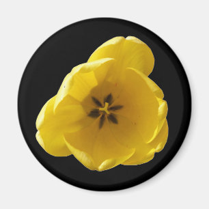 Magnet de tulipe jaune