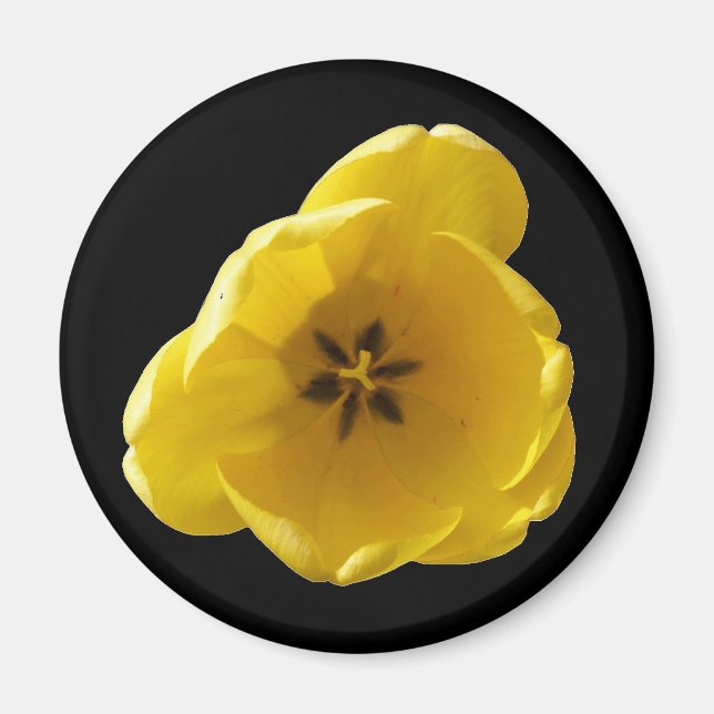 Magnet de tulipe jaune (Devant)