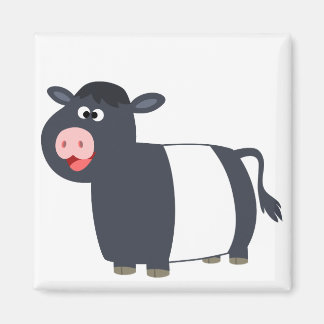Magnet de vaches galloway à ceinture