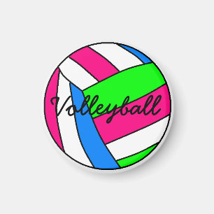 Magnet de volleyball