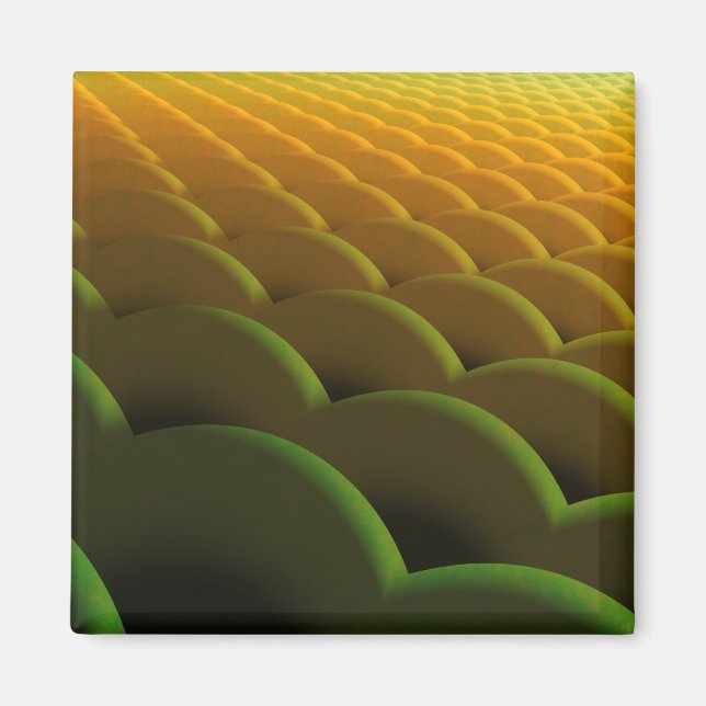 Magnet d'échelles fractales (Devant)