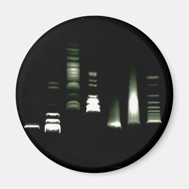 Magnet d'électrophorèse de gel d'ADN (Devant)