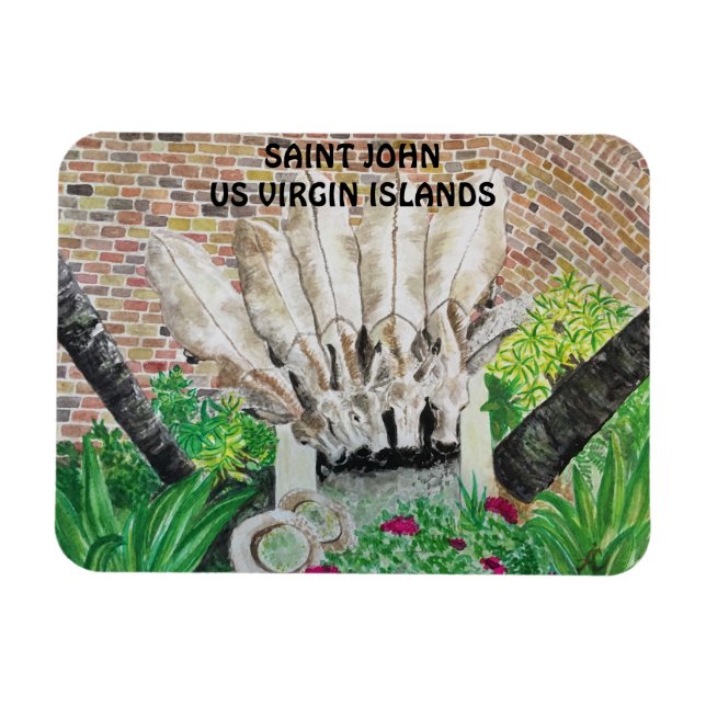 Magnet des ânes (Horizontal)