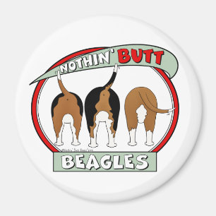 Magnet des Beagles à la pointe du nez