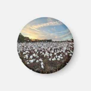 Magnet des champs de coton