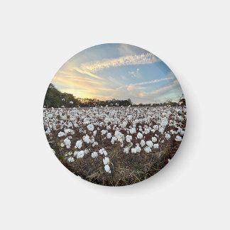 Magnet des champs de coton