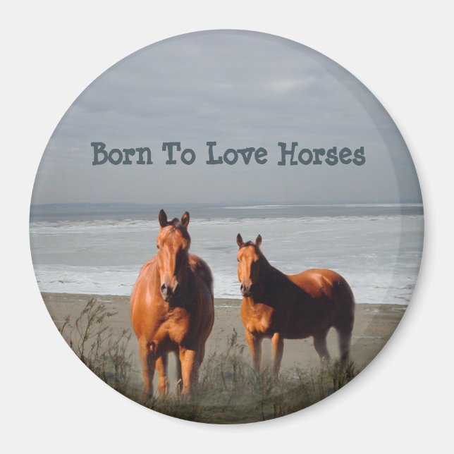 Magnet des Chevaux de plage (Devant)