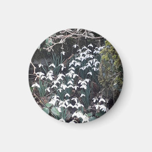 Magnet des chutes de neige du printemps