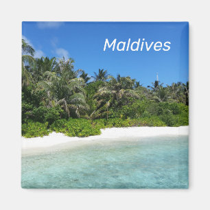 Magnet des Maldives