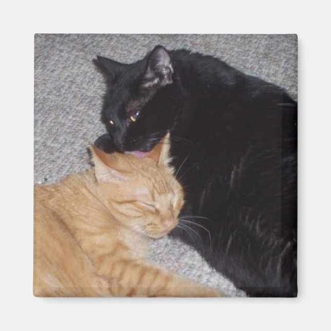 Magnet des meilleurs amis (Devant)