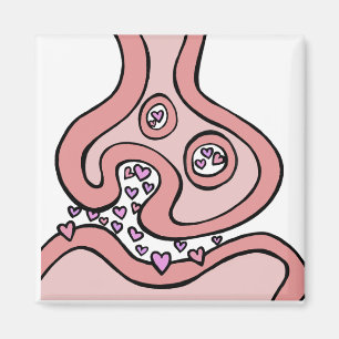 Magnet des neurotransmetteurs cardiaques