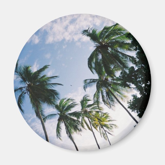 Magnet des palmiers (Devant)