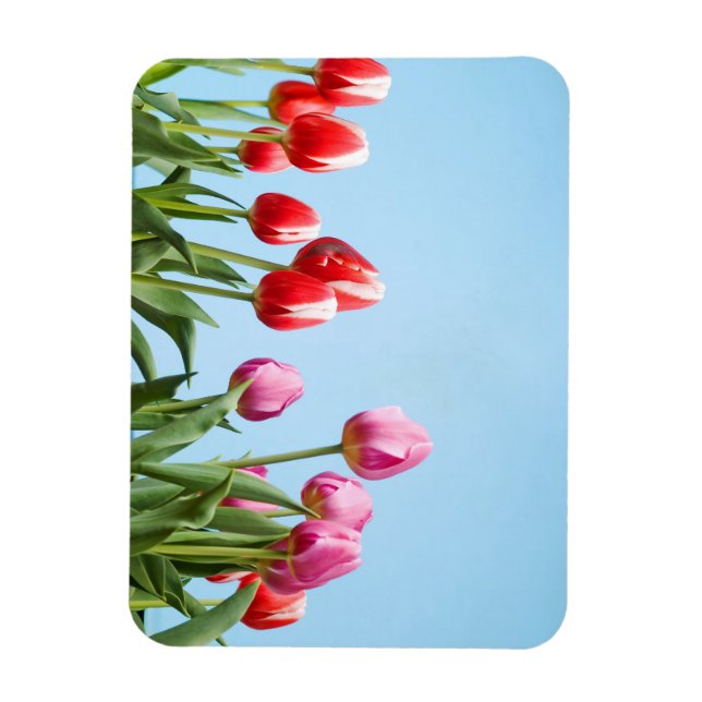 Magnet des Tulipes du printemps (Vertical)