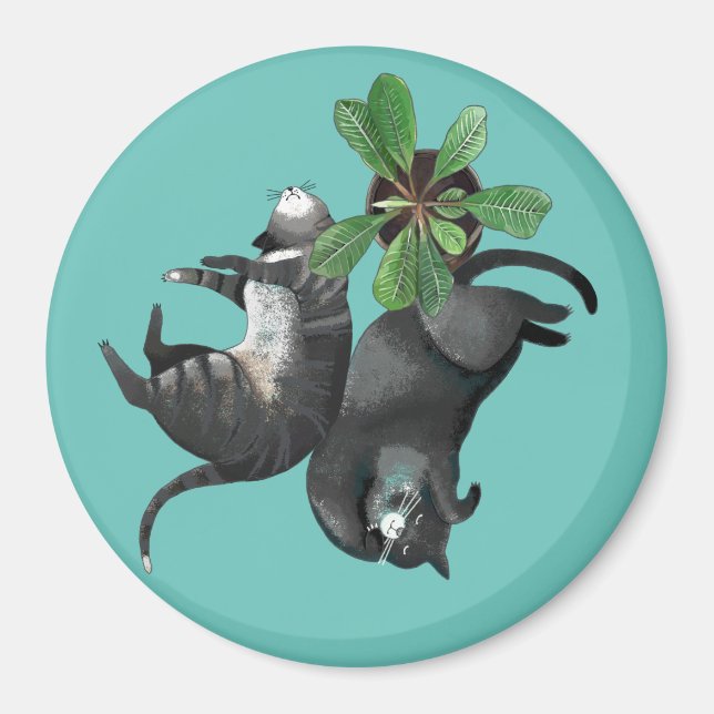 Magnet | Deux chats mentent avec un plante (Devant)