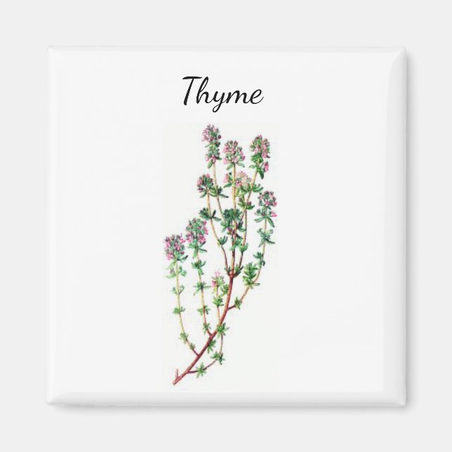 Magnet d'herbe de thym (Devant)