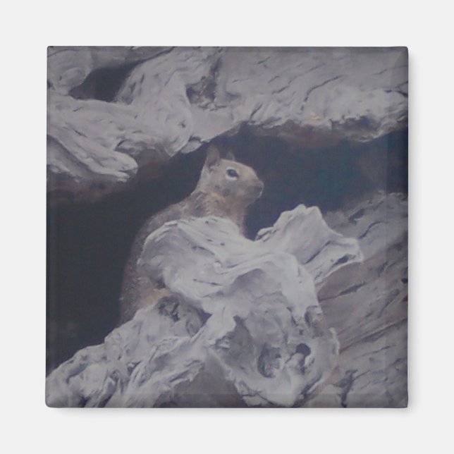 Magnet d'observateur silencieux (Devant)