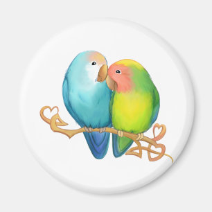 Magnet d'oiseaux de plaisir coloré