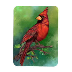 Magnet d'oiseaux du Cardinal rouge du Nord