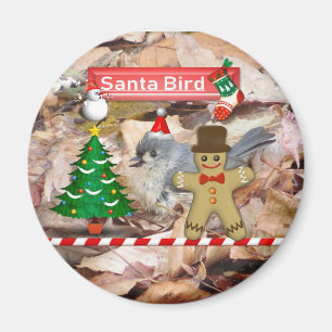 Magnet d'oiseaux du Père Noël